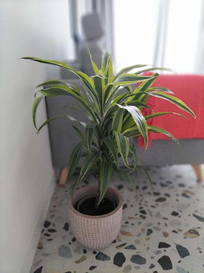 דירות קנגס דה מוראסו Casa Dos Minos Bruno מראה חיצוני תמונה